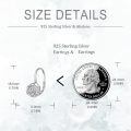 wholesale 925 Sterling Silver Rose Drop Earrings-0-4