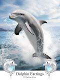wholesale 925 Sterling Silver Dolphin Moonstone Stud Earrings for Women - Hypoallergenic -0-2