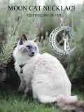 wholesale 925 Sterling Silver Moonstone Star and Cat Pendant Necklace with I Love You to the Moon Inscription - Gifts for Her-0-2