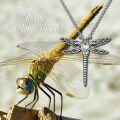 wholesale Sterling Silver Stone Dragonfly Urn Necklace for Ashes w Filling Tool-0-5