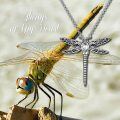 wholesale 925 Sterling Silver Dragonfly Urn Pendant Necklace Turquoise Stone Oxidized Memorial Jewelry-0-5