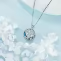 TOUPOP Sterling Silver Crystal Hummingbird Cardinal Necklace-0-3