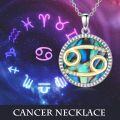 wholesale 925 Sterling Silver Abalone Shell Natural Cubic Zirconia Cancer Zodiac Necklace 12 Constellation Coin Pendant-0-5