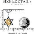 wholesale 925 Sterling Silver Lion Head in Star of David Pendant Necklace  for Men & Women-0-3