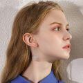 wholesale 925 Sterling Silver Teardrop Rose Earrings Wholesale With Pink Accents And Silver Leaves-0-2