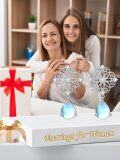 wholesale 925 Sterling Silver Teardrop Moonstone Leverback Dangle Earrings for Women-0-4