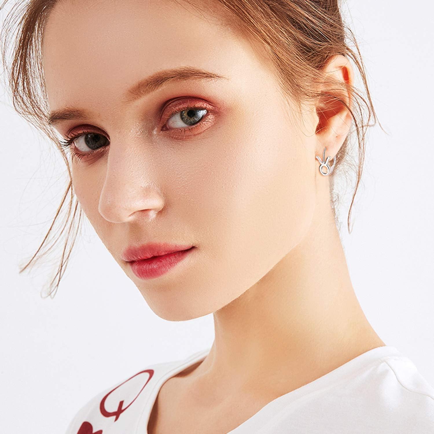 wholesale 925 Sterling Silver Rabbit Shape Zodiac Sign Leverback Dangle Earrings-0-5
