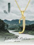 wholesale  14K Solid Gold Moissanite Initial Pendant Necklace A-Z, 16 Chain, Personalized Gift for Women-0-4