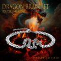 wholesale 925 Sterling Silver Dragon Bracelet for Men - Bold Viking Biker -0-6