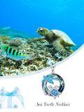 wholesale Sterling Silver Crystal Turtle Necklace for Women-0-13