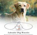 wholesale 925 Sterling Silver Heart Shaped Labrador and Raccoon Lovers' Charm Bracelet for Women-0-5