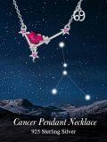 wholesale 925 Sterling Silver Heart-Shaped Ruby & Cubic Zirconia Zodiac Pendant Necklace for Women and Moms-0-4