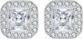 wholesale 925 Sterling Silver Platinum Asscher Cut Halo Stud Earrings with Moissanites and Cubic Zirconia (D Color VVS Clarity)-0-0