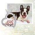wholesale 925 Sterling Silver French Bulldog Heart Pendant Necklace for Women-0-2