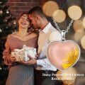 wholesale 925 Sterling Silver Heart-Shaped Pink Resin Dried Daisy Flower Pendant Necklace-0-4