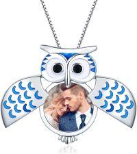 wholesale 925 Sterling Silver & White Gold Plated Owl Locket Necklace with Picture Holder, 3/4 Pendant, 18+2 Chain, Gift Ready-F-Owl 02