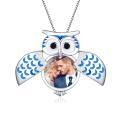 wholesale 925 Sterling Silver & White Gold Plated Owl Locket Necklace with Picture Holder, 3/4 Pendant, 18+2 Chain, Gift Ready-0-0