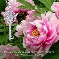 wholesale Sterling Silver Diamond Birth Flower Key Necklace for Women-0-6