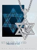 wholesale 925 Sterling Silver Dove in Star of David Pendant Necklace  for Men s-0-5