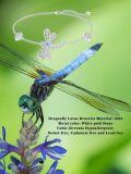 wholesale 925 Sterling Silver Dragonfly Bracelet With Blue Crystal And Delicate Chain Design-0-5