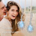 wholesale 925 Sterling Silver Elegant Purple Teardrop Earrings Wholesale With Crystal Accents-0-30