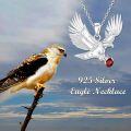 wholesale 925 Sterling Silver Red Crystal Lab-Grown Cubic Zirconia Flying Eagle Pendant Necklace for Women-0-4