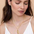 wholesale 925 Sterling Silver Phoenix Black Onyx Pendant Necklace 18k Gold Plated-0-5