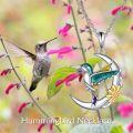 wholesale 925 Sterling Silver Sunflower and Hummingbird Crescent Moon Pendant Necklace-0-5