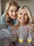 wholesale 925 Sterling Silver Heart Birthstone Celtic Knot Dangle Leverback Earrings-0-104
