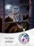 wholesale 925 Sterling Silver Rainbow Crystal Moon & Owls Pendant Necklace Gift for Women-0-2