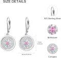 wholesale 925 Sterling Silver Compass Drop Earrings with Symbolic Design for Men & Women-0-5