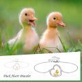 wholesale 925 Sterling Silver 925 Heart-Shaped Yellow Duck Charm Bracelet - Cute Gift for Her-0-4