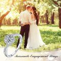 TOUPOP Sterling Silver D Color Vvs1 Moissanite Halo Engagement Ring Wedding Band-0-2
