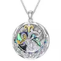 TOUPOP Sterling Silver Abalone Zodiac Necklace Constellation Pendant-undefined