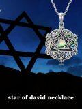 wholesale 925 Sterling Silver Abalone Shell Star of David Pendant Necklace for Women-0-5