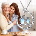 wholesale 925 Sterling Silver Moonstone Double Owls Pendant Necklaces for Women with Stars and Love Message Chain  48cm Length-0-3