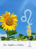 TOUPOP Sterling Silver Sunflower Y Pendant You Are My Sunshine Necklace-0-1