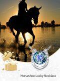 wholesale 925 Sterling Silver Metal Horse Shoe Pendant with Blue Crystal and Rhinestones Lucky Charm Necklace for Women's Fashion s-0-2