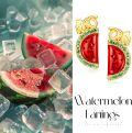 wholesale 925 Sterling Silver Watermelon Slice Stud Earrings with Green Accents for Women's Fashion  Ideas-0-4