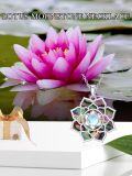 wholesale 925 Sterling Silver & Natural Moonstone Abalone Shell Flower Pendant Necklace for Women - Christmas Gift Ideas-0-4