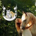wholesale 925 Sterling Silver Horse & Girl Horseshoe Charm Necklace for Women Girls-0-5