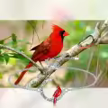 TOUPOP Sterling Silver Moon Red Bird Memorial Jewelry Gifts-0-2