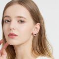 wholesale 925 Sterling Silver Rose Gold Plated Dachshund Dog Red Crystal Hoop Earrings-0-4