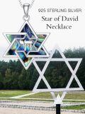 wholesale 925 Sterling Silver Abalone Shell Star of David Pendant Necklace for Women-0-3