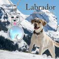 wholesale 925 Sterling Silver Moonstone Labrador Retriever Pendant Necklaces for Women - Memorial s-0-4