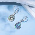 wholesale 925 Sterling Silver Teardrop Abalone Shell Butterfly Drop Earrings-0-2
