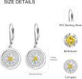 wholesale  925 Sterling Silver Compass Drop Earrings with Gift Box, Hypoallergenic Jewelry for Women & Men-0-5