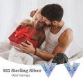 wholesale Sterling Silver Opal V Shape Stud Earrings for Women Minimalist-0-16