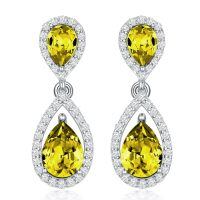 wholesale 925 Sterling Silver Moissanite Birthstone Dangle Earrings for Women-11-November