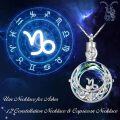 wholesale 925 Sterling Silver Blue Crystal Zodiac Pendant with Funnel and Chain-0-3